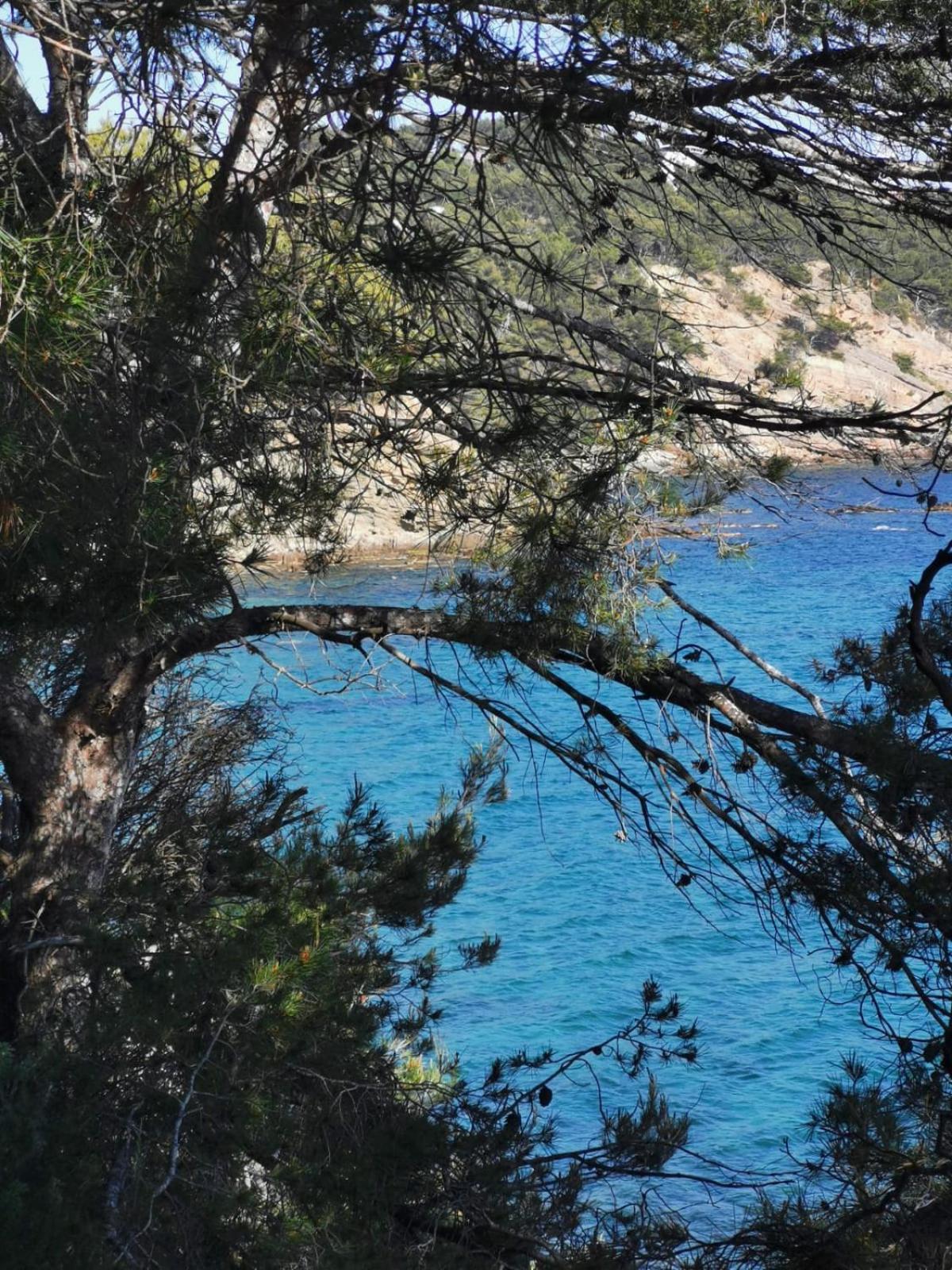 Petit Paradis - St Mandrier Village Saint-Mandrier-sur-Mer Buitenkant foto