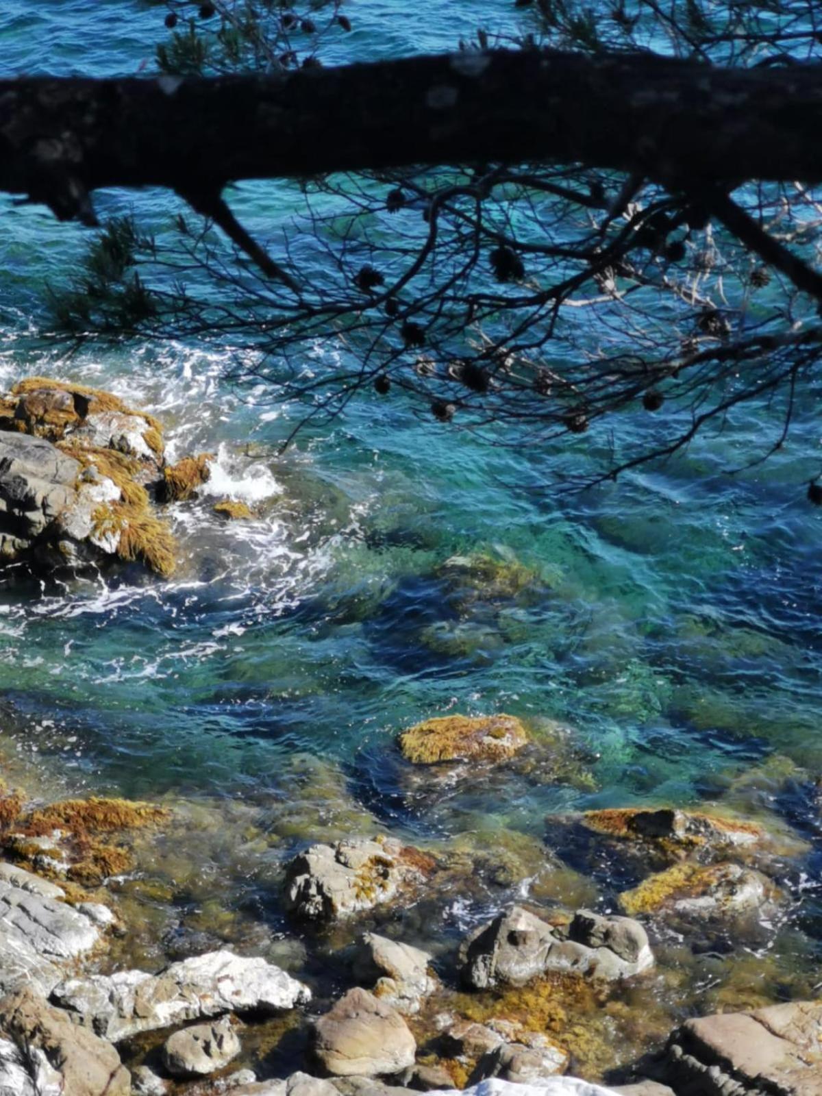 Petit Paradis - St Mandrier Village Saint-Mandrier-sur-Mer Buitenkant foto