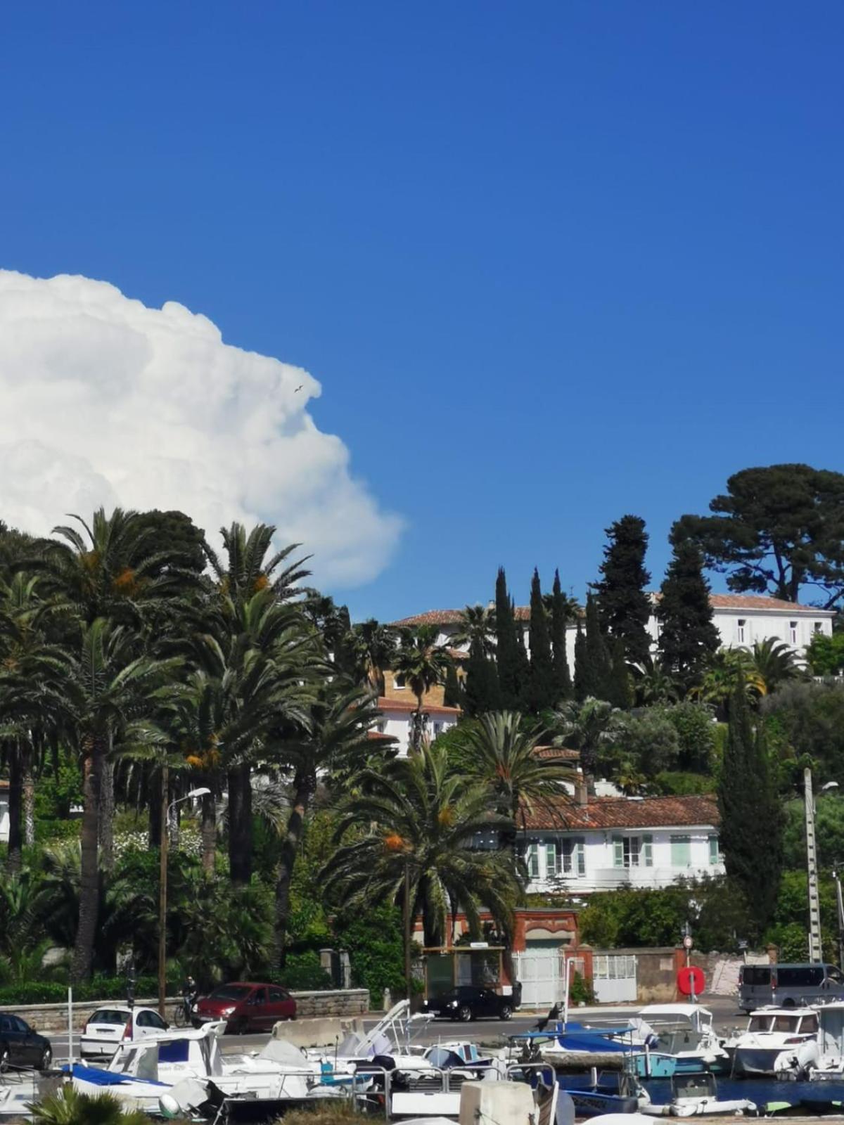 Petit Paradis - St Mandrier Village Saint-Mandrier-sur-Mer Buitenkant foto