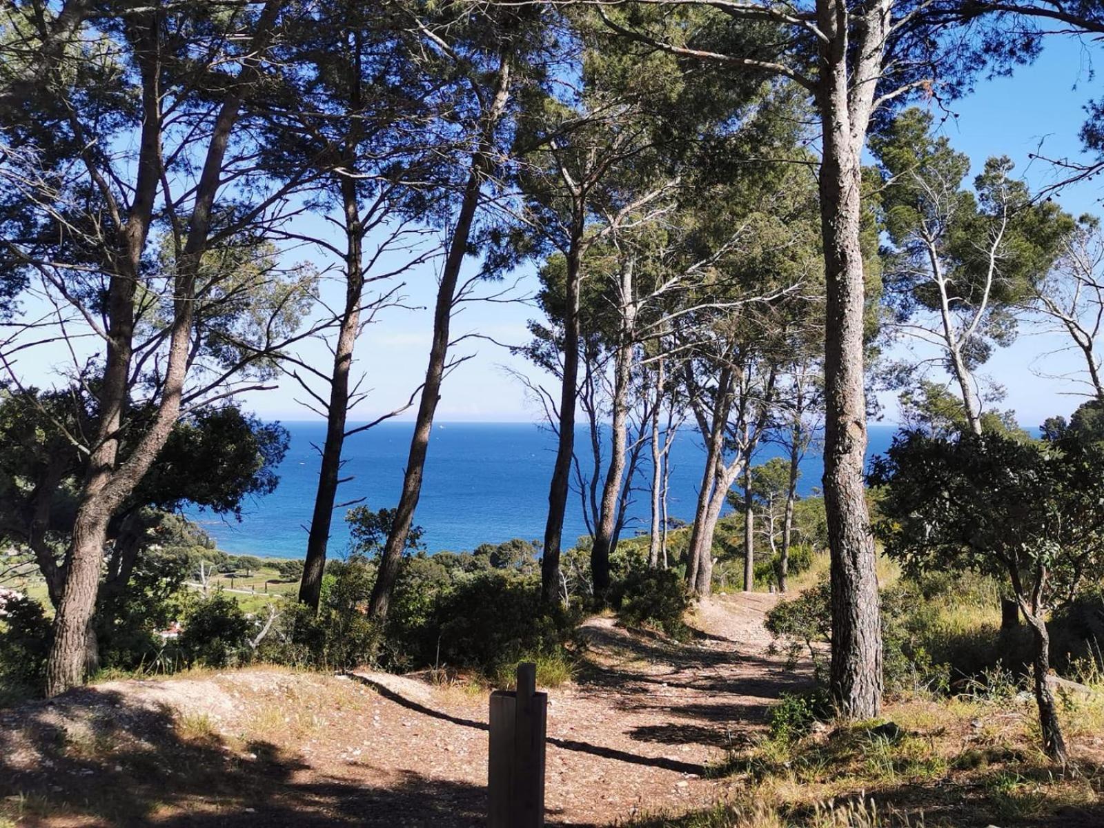 Petit Paradis - St Mandrier Village Saint-Mandrier-sur-Mer Buitenkant foto