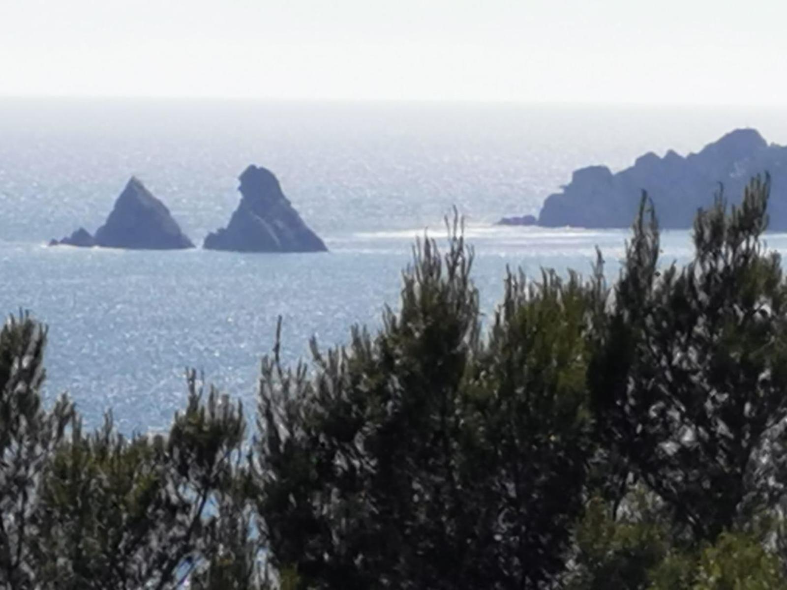 Petit Paradis - St Mandrier Village Saint-Mandrier-sur-Mer Buitenkant foto
